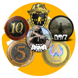 Prime // 4 Medals // Private Rank: 15 ⭐️ Arma 3 // DayZ // 21 Games ⭐️ 18 Years of Service ⭐️ 10 lvl ⭐️ For Main ⭐️ 0